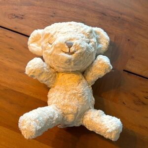 Snoo happiest baby white noise teddy bear